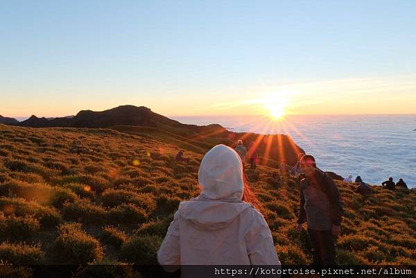 [台灣/南投] 2023.11 雲海日出黃金大草原: 奇萊南