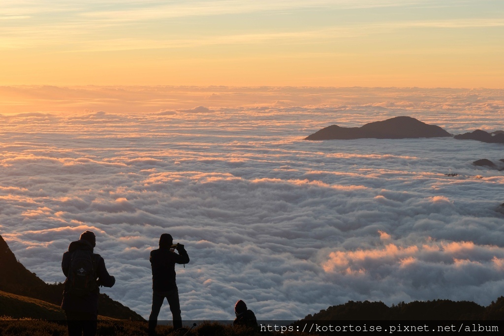[台灣/南投] 2023.11 雲海日出黃金大草原: 奇萊南