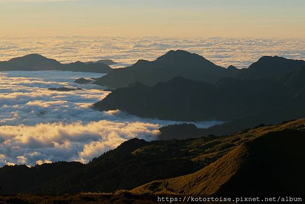 [台灣/南投] 2023.11 雲海日出黃金大草原: 奇萊南