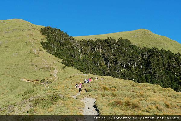 [台灣/南投] 2023.11 雲海日出黃金大草原: 奇萊南