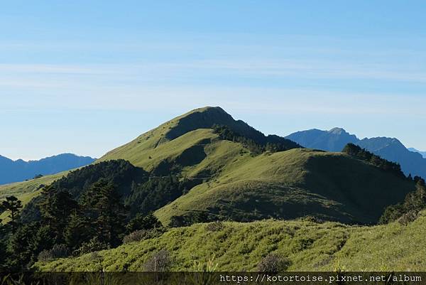 [台灣/南投] 2023.11 雲海日出黃金大草原: 奇萊南
