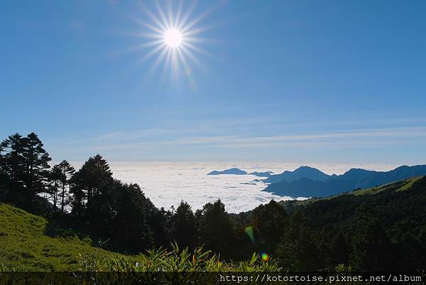 [台灣/南投] 2023.11 雲海日出黃金大草原: 奇萊南