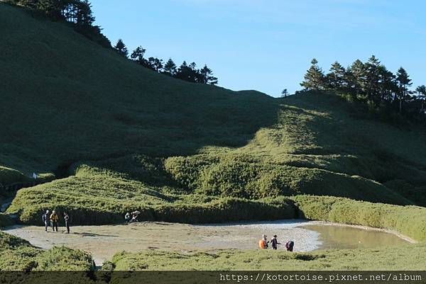 [台灣/南投] 2023.11 雲海日出黃金大草原: 奇萊南
