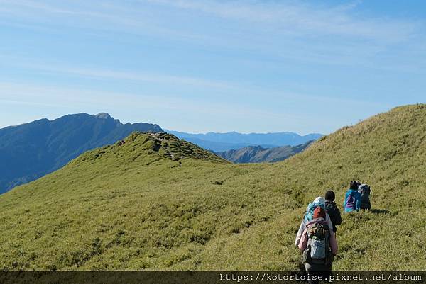[台灣/南投] 2023.11 雲海日出黃金大草原: 奇萊南