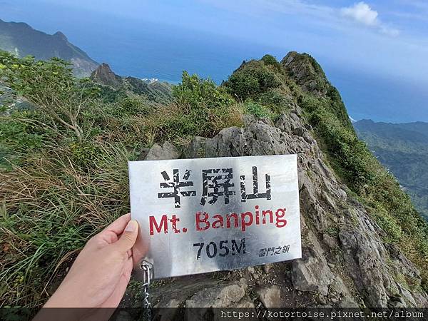 [台灣/新北] 2023.11 半屏山的台灣雪: 芒草花季