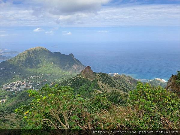 [台灣/新北] 2023.11 半屏山的台灣雪: 芒草花季