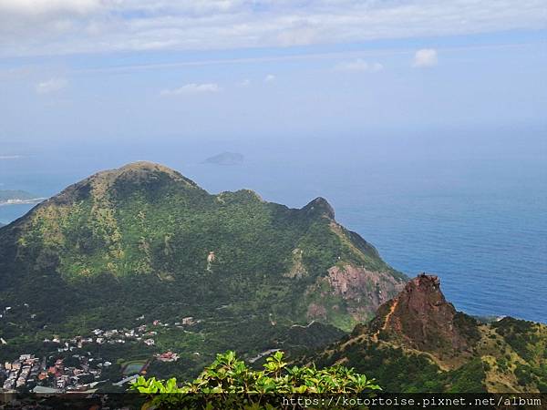 [台灣/新北] 2023.11 半屏山的台灣雪: 芒草花季