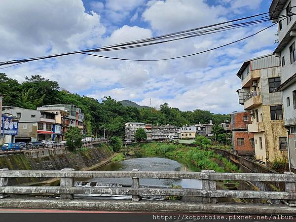[台灣/新北] 2023.11 半屏山的台灣雪: 芒草花季