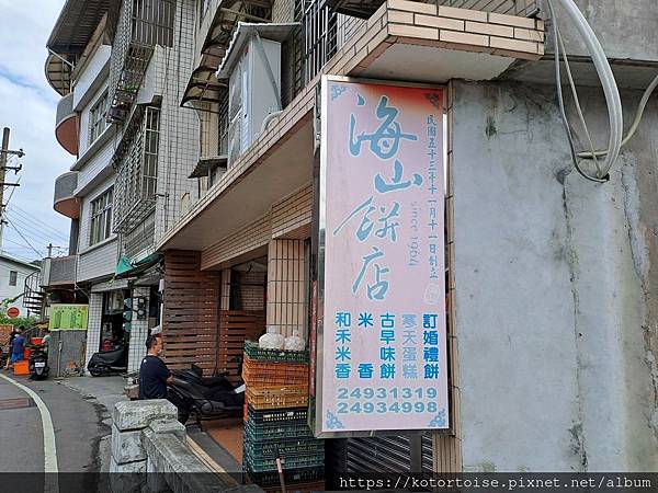 [台灣/新北] 2023.11 半屏山的台灣雪: 芒草花季