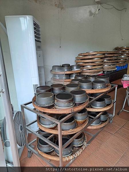 [台灣/新北] 2023.11 半屏山的台灣雪: 芒草花季