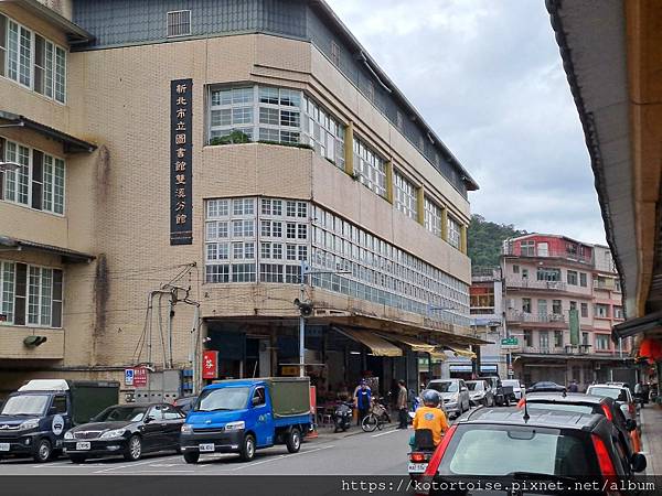 [台灣/新北] 2023.11 半屏山的台灣雪: 芒草花季