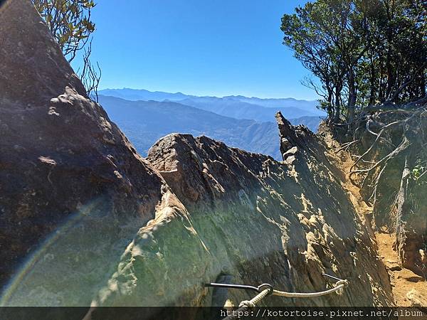 [台灣/新竹] 2023.11 內鳥嘴山巧遇黃金山毛櫸