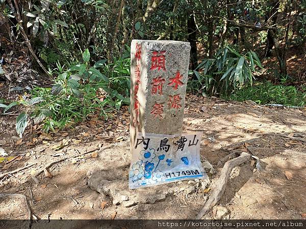 [台灣/新竹] 2023.11 內鳥嘴山巧遇黃金山毛櫸