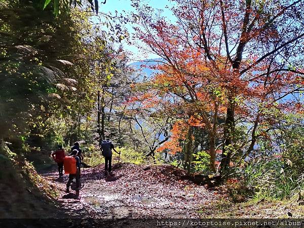 [台灣/新竹 苗栗] 2023.12 世紀奇峰 - 大霸尖山