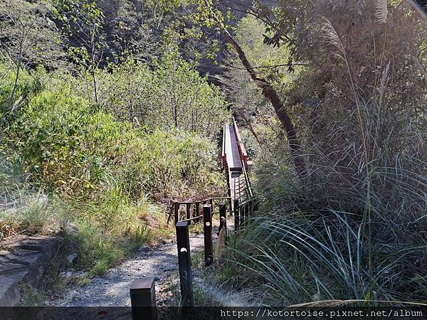 [台灣/新竹 苗栗] 2023.12 世紀奇峰 - 大霸尖山