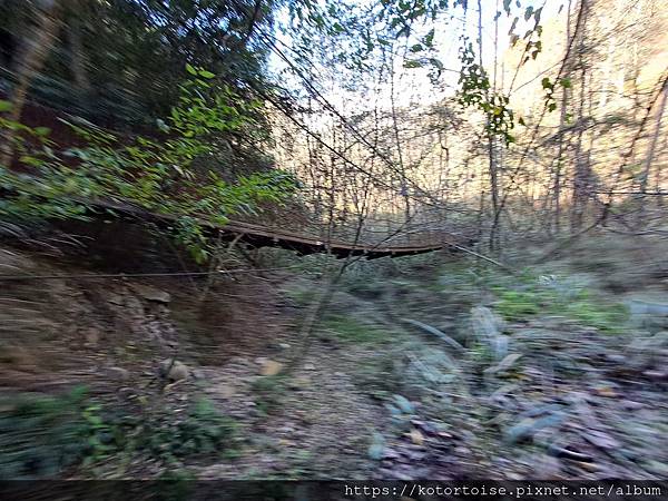 [台灣/新竹 苗栗] 2023.12 世紀奇峰 - 大霸尖山