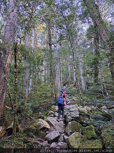 [台灣/新竹 苗栗] 2023.12 世紀奇峰 - 大霸尖山