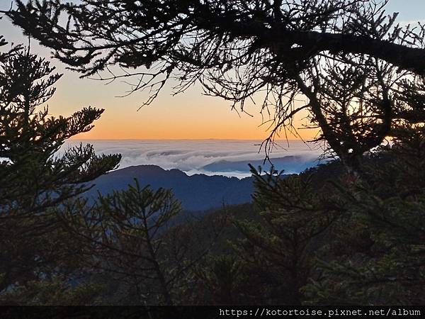 [台灣/新竹 苗栗] 2023.12 世紀奇峰 - 大霸尖山