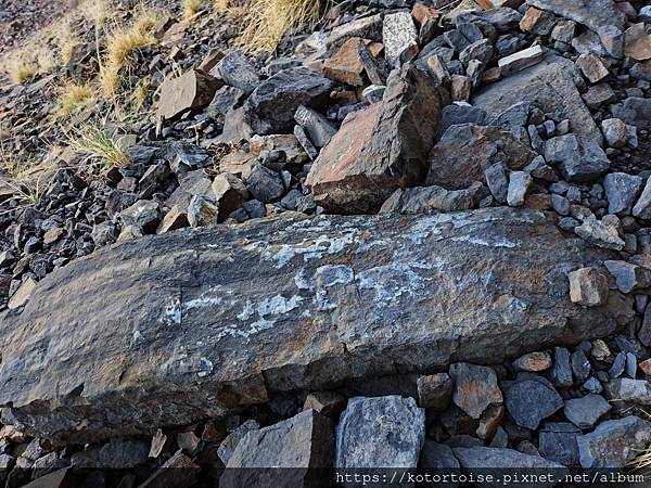 [台灣/新竹 苗栗] 2023.12 世紀奇峰 - 大霸尖山