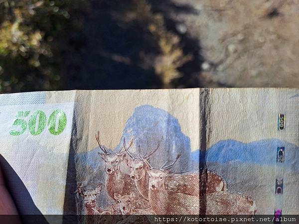 [台灣/新竹 苗栗] 2023.12 世紀奇峰 - 大霸尖山