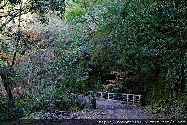 [台灣/新竹 苗栗] 2023.12 世紀奇峰 - 大霸尖山