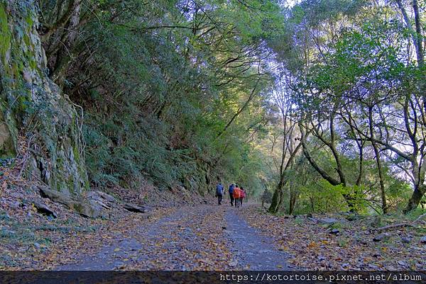 [台灣/新竹 苗栗] 2023.12 世紀奇峰 - 大霸尖山