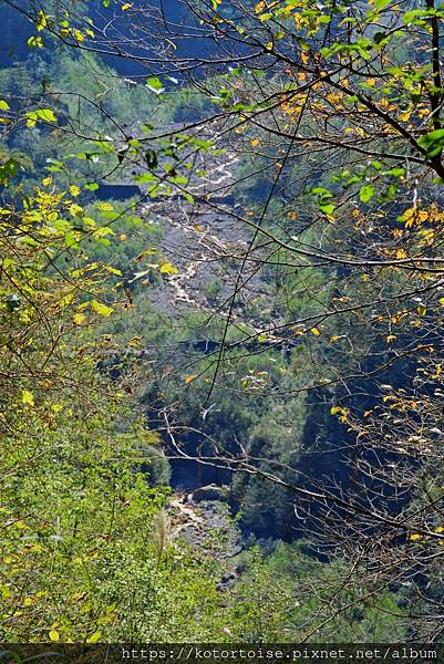 [台灣/新竹 苗栗] 2023.12 世紀奇峰 - 大霸尖山