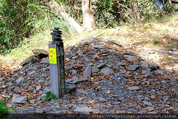 [台灣/新竹 苗栗] 2023.12 世紀奇峰 - 大霸尖山