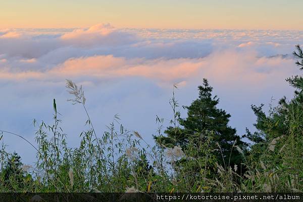 [台灣/新竹 苗栗] 2023.12 世紀奇峰 - 大霸尖山