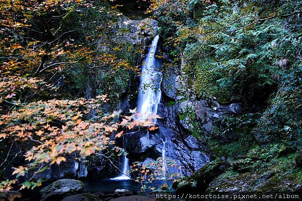 [台灣/新竹 苗栗] 2023.12 世紀奇峰 - 大霸尖山