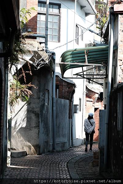 [台灣/新北] 2024.1 參訪祖師廟,漫步三峽老街