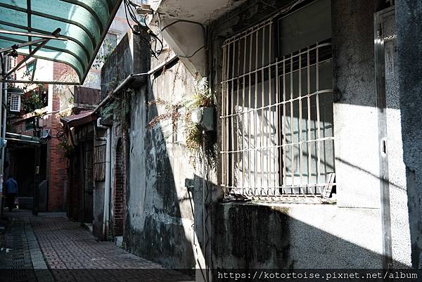 [台灣/新北] 2024.1 參訪祖師廟,漫步三峽老街