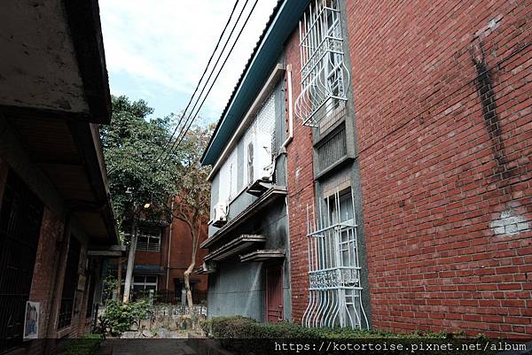 [台灣/新北] 2024.1 參訪祖師廟,漫步三峽老街