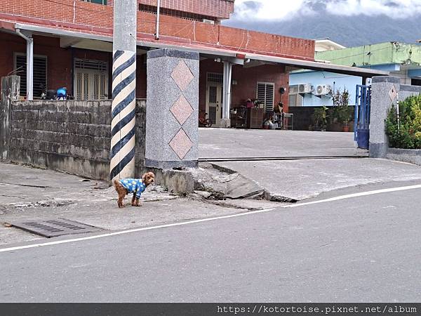 [台灣/花蓮] 2024.1 住在部落裡: 花田一鷺漫旅民宿