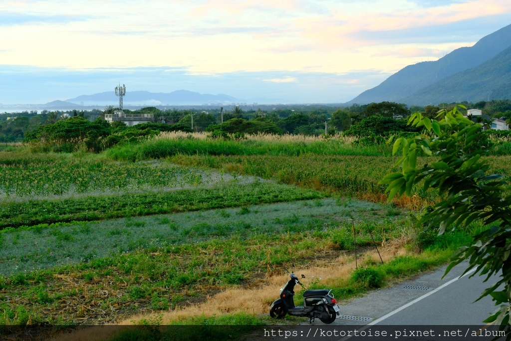 [台灣/花蓮] 2024.1 住在部落裡: 花田一鷺漫旅民宿