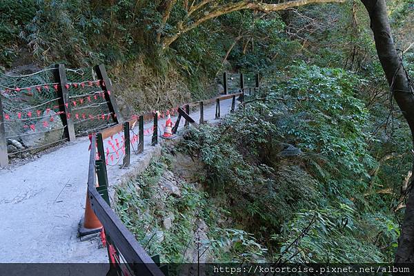 [台灣/花蓮] 2024.1 砂卡噹步道