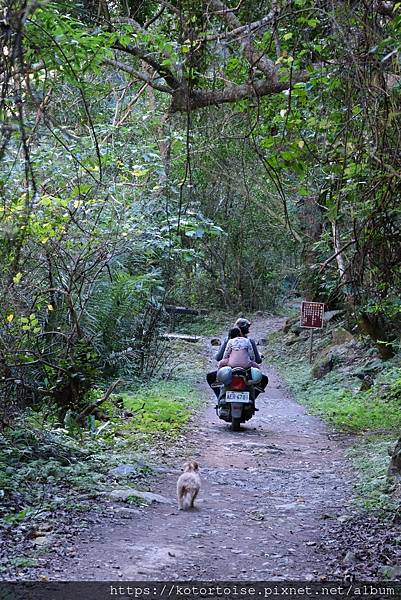 [台灣/花蓮] 2024.1 砂卡噹步道
