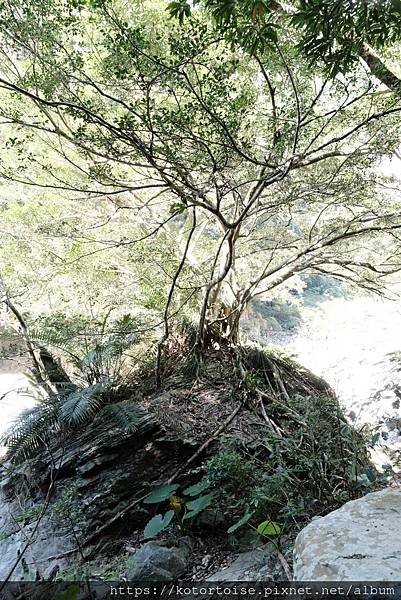 [台灣/花蓮] 2024.1 砂卡噹步道