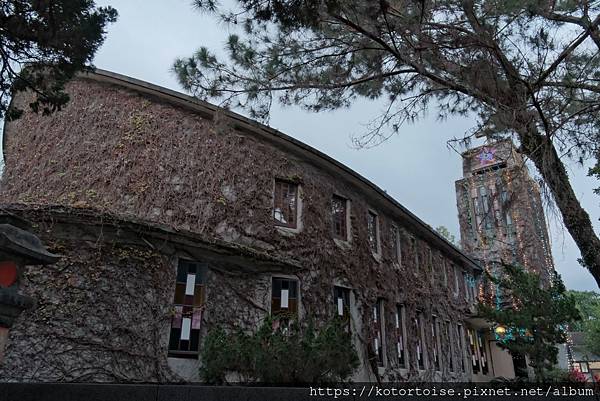 [台灣/花蓮] 2024.1 新城風光