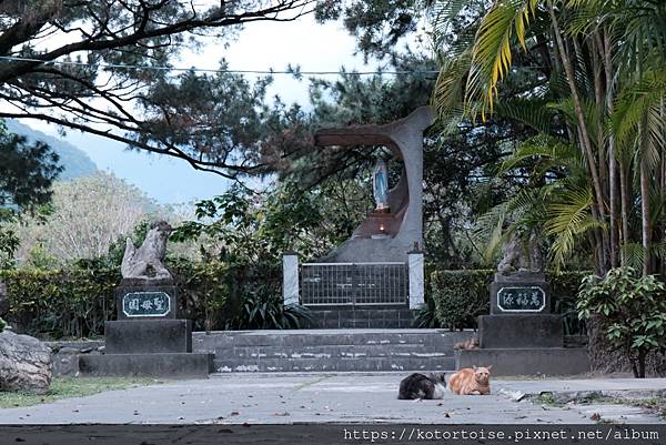 [台灣/花蓮] 2024.1 新城風光