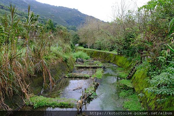 [台灣/花蓮] 2024.1 大農大富騎車趣