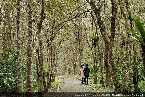 [台灣/花蓮] 2024.1 大農大富騎車趣