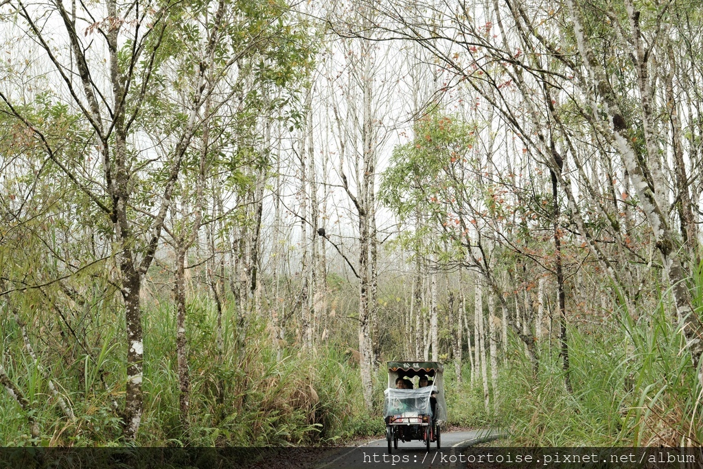 [台灣/花蓮] 2024.1 大農大富騎車趣