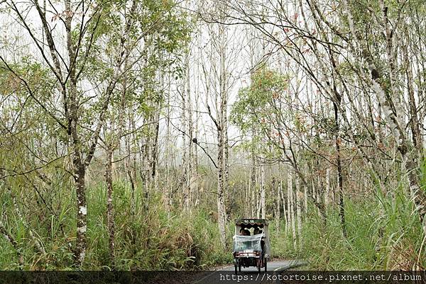 [台灣/花蓮] 2024.1 大農大富騎車趣