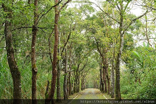 [台灣/花蓮] 2024.1 大農大富騎車趣