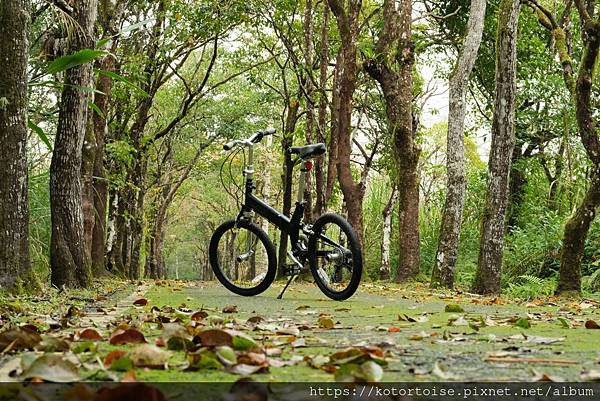 [台灣/花蓮] 2024.1 大農大富騎車趣