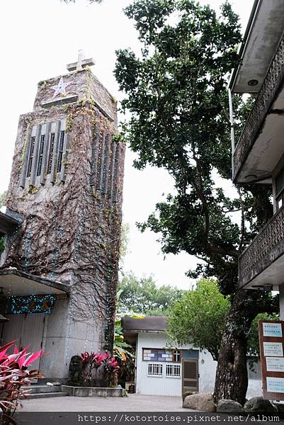 [台灣/花蓮] 2024.1 新城風光