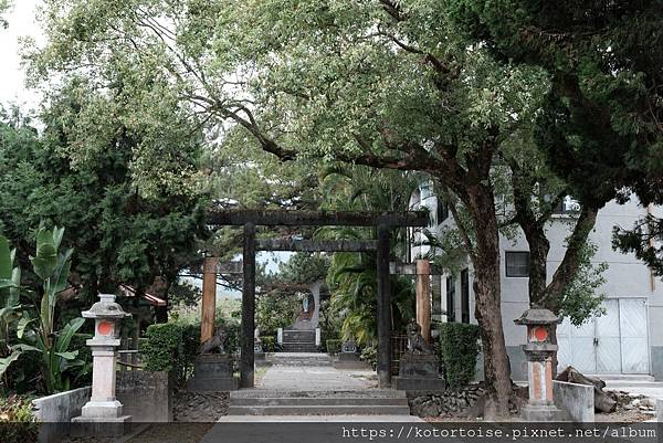 [台灣/花蓮] 2024.1 新城風光