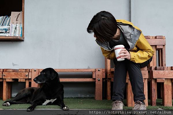 [台灣/花蓮] 2024.1 新城風光