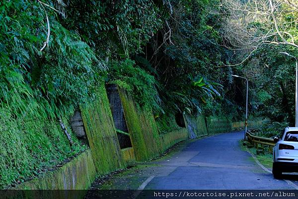 [台灣/新北] 2024.2 早晨的小粗坑步道